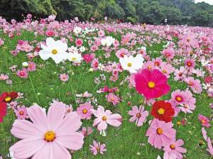 １０月になって３回目の月曜日