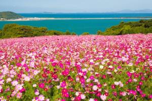 １０月になって３回目の火曜日