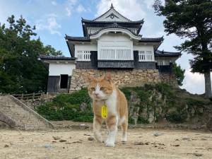 予想最高気温は２６℃