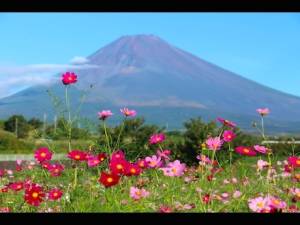 １０月になって３回目の木曜日