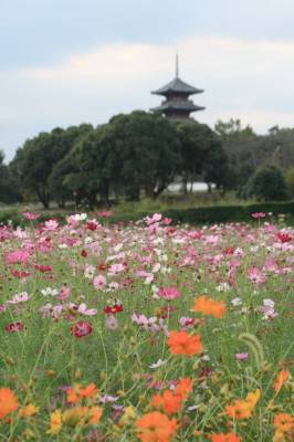 予想最高気温は２３℃