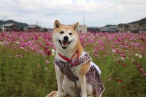 さゆり　　指名料無料中