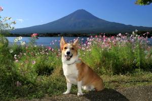 １０月最後の水曜日