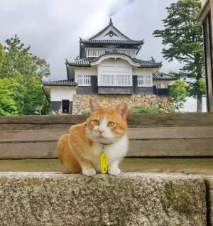 さゆり　　指名料無料中