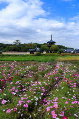 １０月最後の月曜日