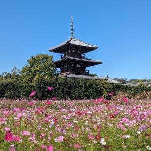 １１月になって初めての木曜日