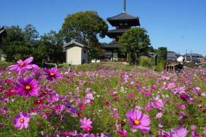 世間では三連休の中日