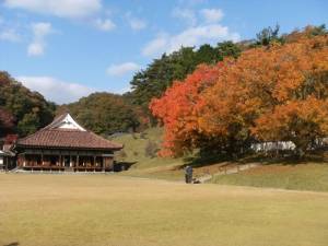 予想最高気温は１６℃