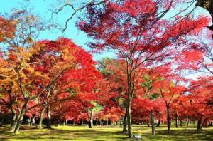 予想最高気温は１７℃