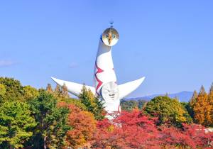 予想最高気温は１０℃