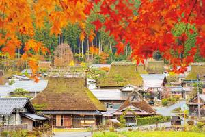 １１月になって４回目の水曜日