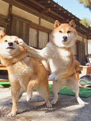 さゆり　　指名料無料中