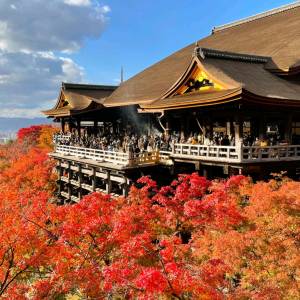 １１月最後の月曜日