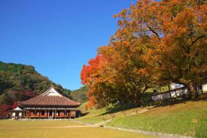 １２月になって初めての日曜日