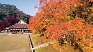 予想最高気温は１５℃