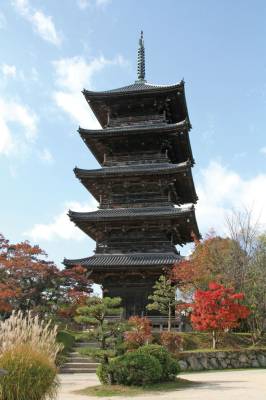 １２月になって２回目の土曜日