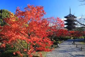 １２月になって２回目の日曜日