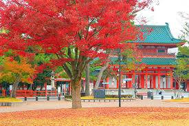 １２月になって２回目の木曜日