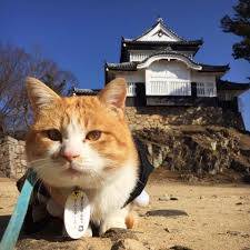 今年最後の水曜日