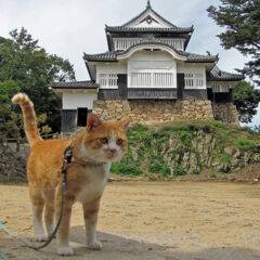 今年最後の木曜日