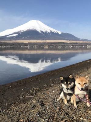 予想最高気温は１３℃