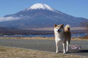 お休みさせていただきます