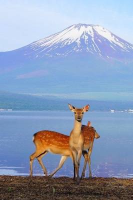 世間では３連休の中日