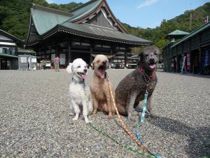 さゆり　　指名料無料中