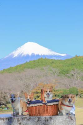 予想最高気温は１２℃