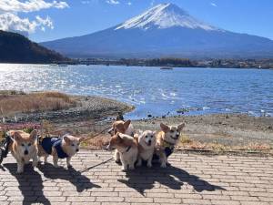 予想最高気温は１３℃