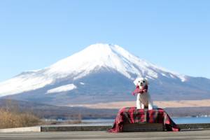 新しい年を迎えて２回目の土曜日