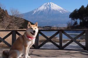 予想最高気温は１２℃