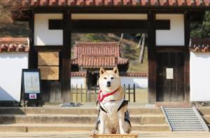 本日も宜しくお願いいたします