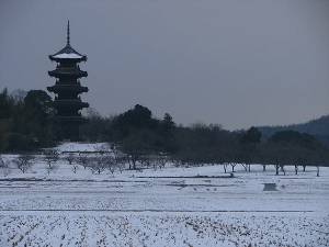 本日の予想最高気温は５℃