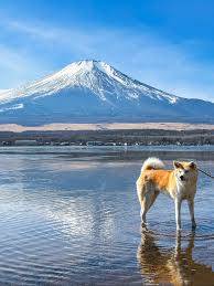 今月最後の木曜日