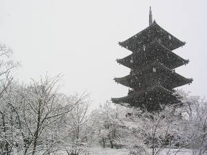 予想最高気温は６℃