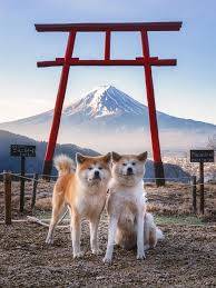 今月最後の金曜日