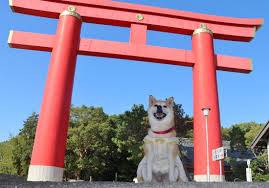 本日も宜しくお願いいたします