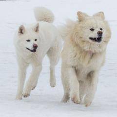 ２月になって２回目の木曜日