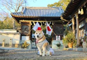 予想最高気温は１０℃