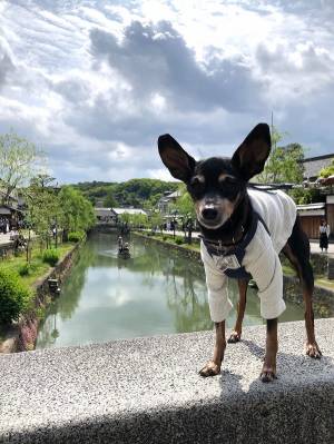 本日も宜しくお願いいたします