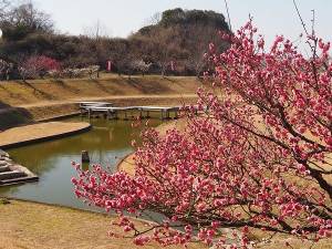 今月最後の火曜日