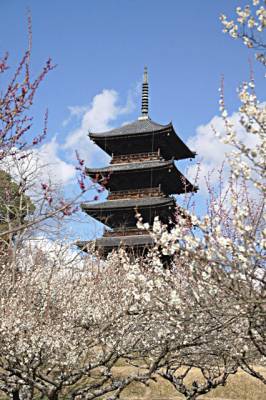 ３月になって初めての水曜日