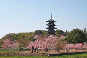 予想最高気温は１２℃