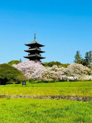 ３月になって初めての木曜日