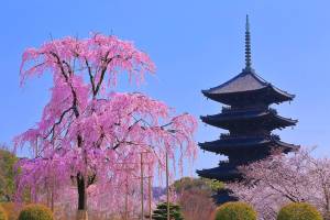 ３月になって２回目の月曜日