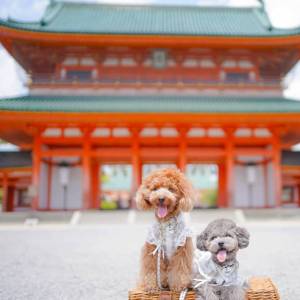 さゆり　　指名料無料中