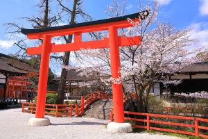 ３月になって３回目の木曜日