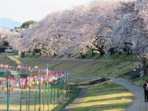 ３月最後の土曜日