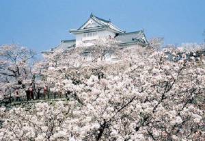 ４月になって初めての火曜日